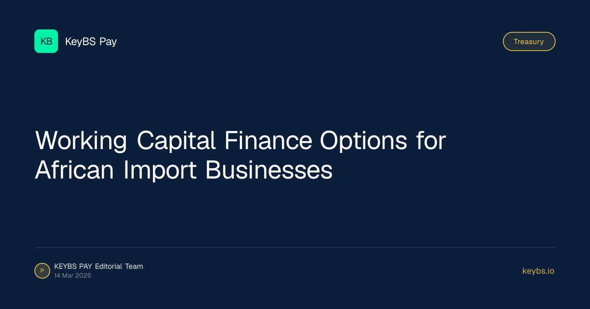 Working Capital Finance Options for African Import Businesses